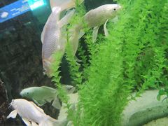 -洛阳龙门海洋馆