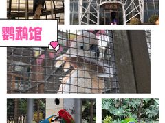 -南宫五洲植物乐园