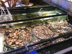 水产区-海吃海喝海鲜烤肉炭火主题自助餐(朝阳店)