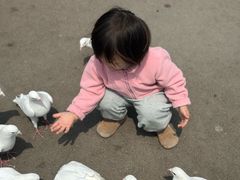-泉城欧乐堡海洋极地世界