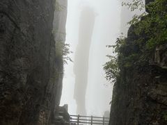 -恩施大峡谷