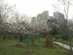 -堤角公园