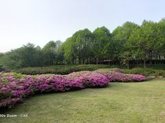 -宜兴龙背山森林公园