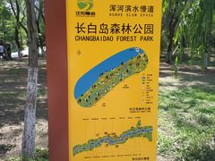 -长白岛森林公园