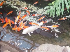 -聚缘堂·海鲜私房菜(松岭路店)