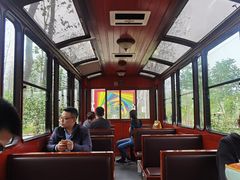 -合肥滨湖国家森林公园