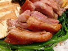 -狮头牌卤味研究所·卤味饭(花城汇南区店)
