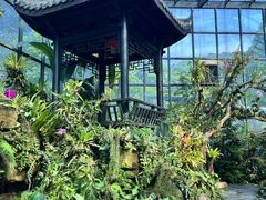 -东莞植物园