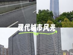 -武汉绿地中心