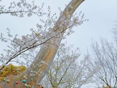 -自然谷恐龙园