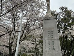 -武汉大学-樱园