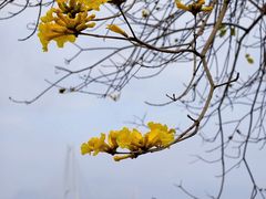 -琅岐红光湖公园
