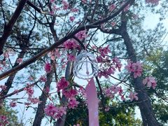 -狐尾山公园