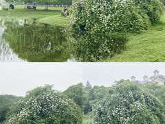 -艾溪湖湿地公园