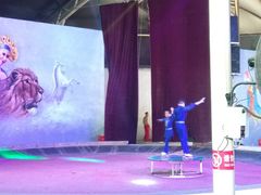 -福州罗源湾海洋世界旅游区