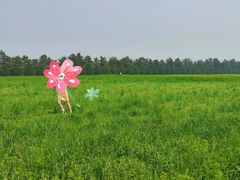 -汉长安城未央宫国家考古遗址公园