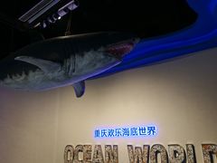 -重庆欢乐海底世界