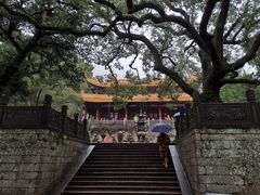 -普陀山风景名胜区-法雨禅寺