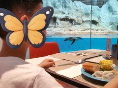 -帝企鹅自助餐厅•儿童岛•真企鹅(长隆企鹅酒店)