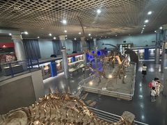 -国家自然博物馆