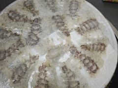 -官塘陈记鱼生·潮汕砂锅粥·牛肉火锅(潮枫路总店)