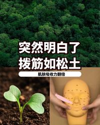 点击看大图 -舒欣头疗·俏丝谧语 白发脱发专业护理