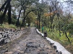 -阳台山自然风景区