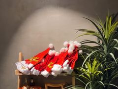 -施奈儿.洗头頭療.按摩SPA.采耳(上梅林店)