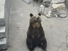 -保定市动物园