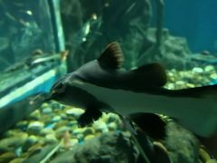 -多彩贵州城极地海洋世界