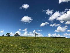 景点二道河沿土路一直往上-塞罕坝国家级自然保护区
