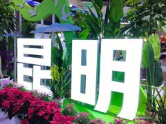 -昆明滇池国际会展中心