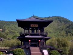 -大唐贡茶院
