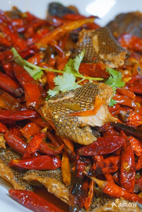 东方红·老坛剁椒鱼头(五四北泰禾店)长沙口味蛇图片 - 第176张