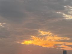 -深圳湾公园(南山区)