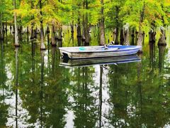 -白鹭湾湿地公园