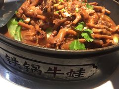 -蛙宝厨
