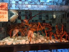 -官也街澳门火锅(新源里店)