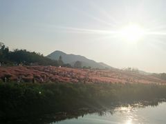 -金孔雀温泉旅游度假村