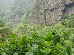 -广东大峡谷