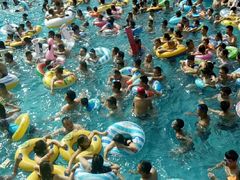 -重庆海昌加勒比海水世界