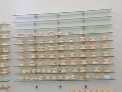 -诺贝尔一诺口腔医院(雁塔院区)