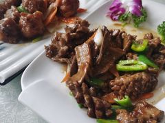 -宝发园名菜馆