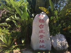 -广东惠东海龟国家级自然保护区