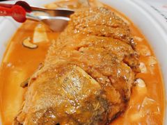 红烧黄河鲤鱼-阿五黄河大鲤鱼(海尚店)