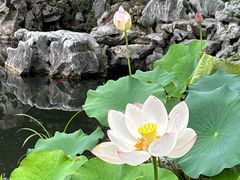 -巡塘古镇