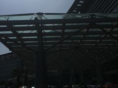 -上海中医药大学附属曙光医院(东部)