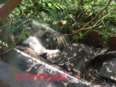 -猫的天空之城概念书店(苏州平江店)