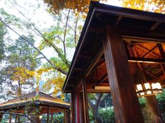 商户图片-大妙火锅·非物质文化遗产(东湖公园店)