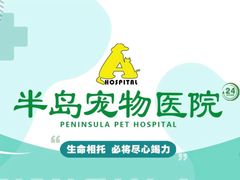 -半岛宠物医院24小时(西派城店)